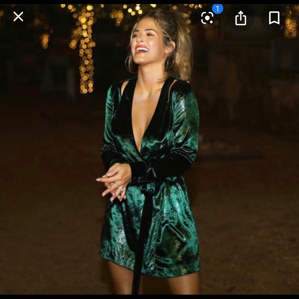 NWT. Fletch Green Velvet Dress